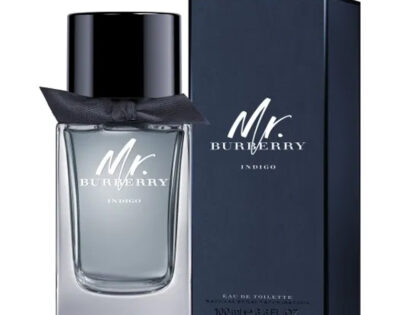 BURBERRY MR.BURBERRY INDIGO eau de toilette 100ml pour homme